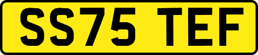 SS75TEF