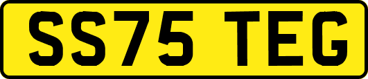 SS75TEG