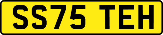 SS75TEH