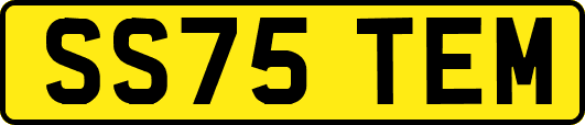 SS75TEM