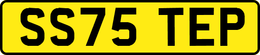 SS75TEP