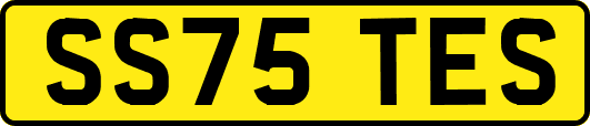 SS75TES