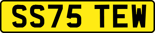SS75TEW
