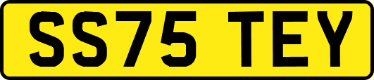SS75TEY