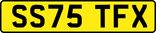 SS75TFX