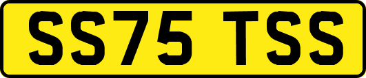SS75TSS