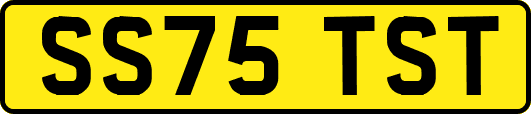 SS75TST