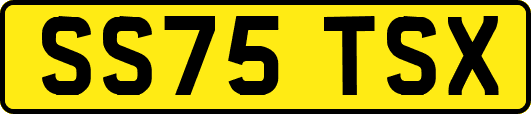 SS75TSX