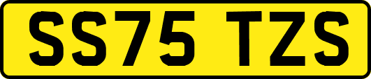 SS75TZS