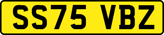 SS75VBZ