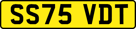 SS75VDT