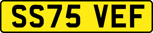 SS75VEF