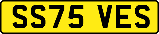 SS75VES