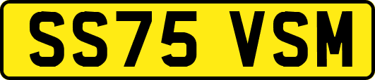 SS75VSM