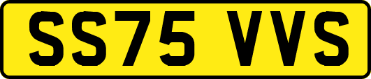 SS75VVS