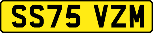 SS75VZM
