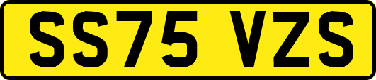 SS75VZS