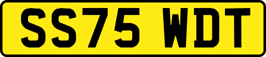 SS75WDT