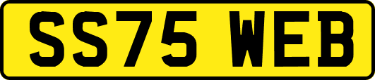SS75WEB