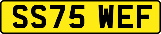 SS75WEF