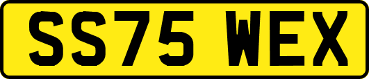 SS75WEX
