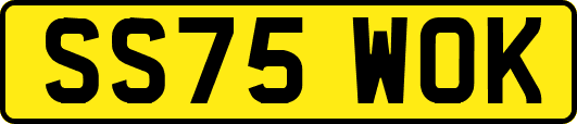 SS75WOK