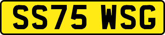 SS75WSG