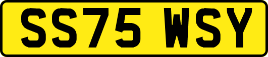 SS75WSY