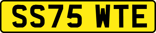 SS75WTE