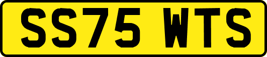 SS75WTS