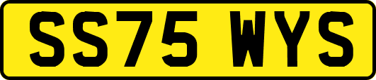 SS75WYS