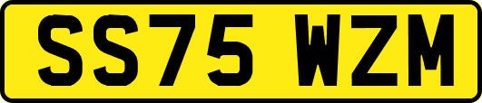 SS75WZM