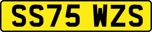 SS75WZS