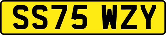 SS75WZY