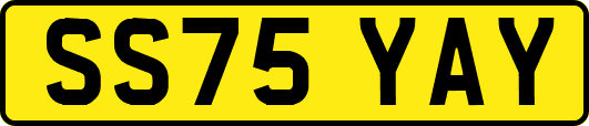 SS75YAY