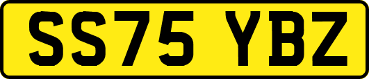 SS75YBZ