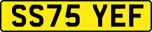 SS75YEF
