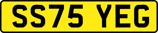 SS75YEG