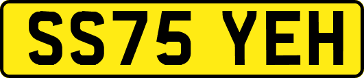 SS75YEH