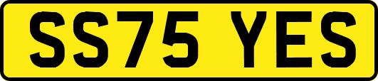 SS75YES