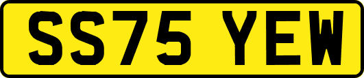 SS75YEW