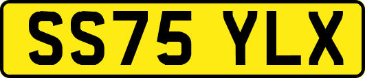SS75YLX