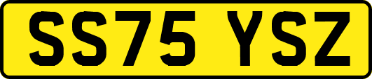 SS75YSZ
