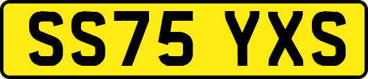 SS75YXS