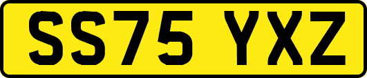 SS75YXZ