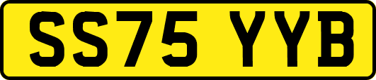 SS75YYB