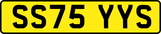 SS75YYS