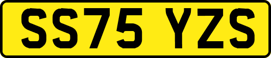 SS75YZS
