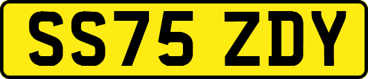 SS75ZDY