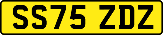 SS75ZDZ